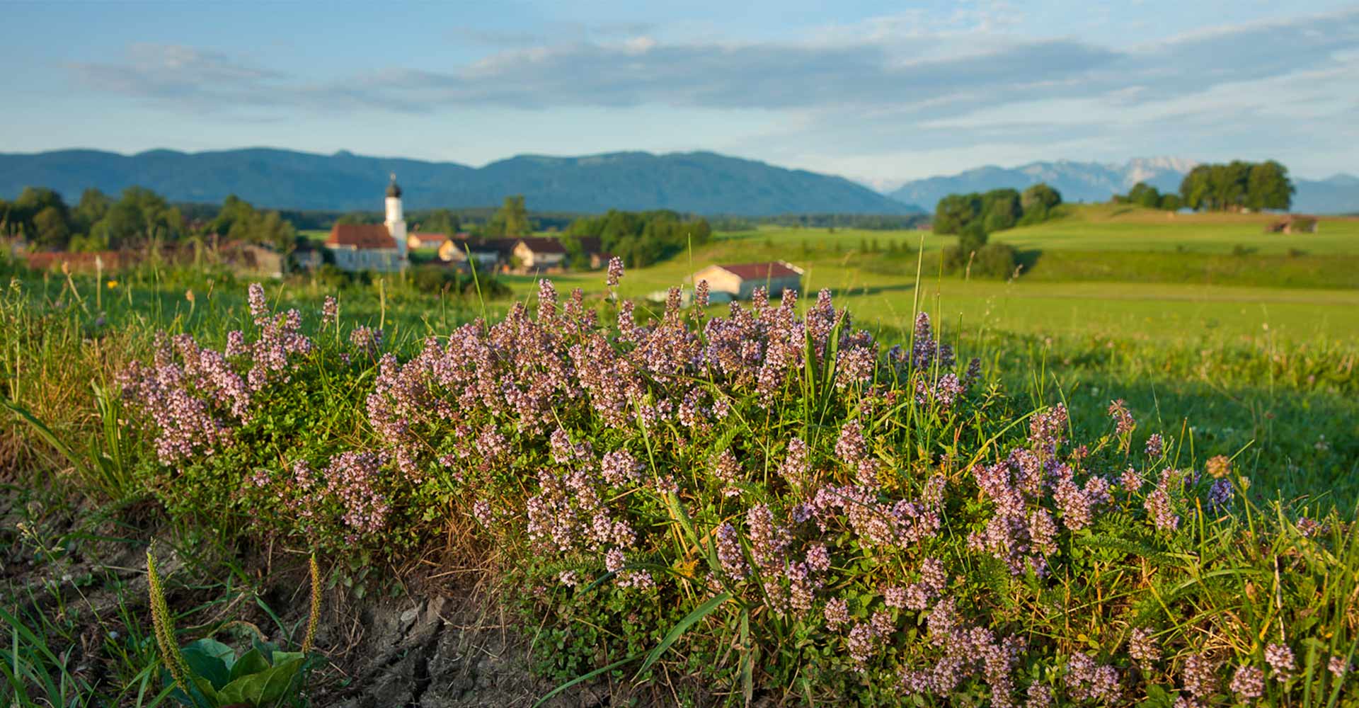 Landschaft rund um das kleine Dorf Piesenkam mit Bergblick auf das Karwendel